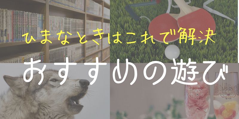 暇つぶしの遊びはこれで決まり 1人用 2人用の遊び65個 フレッシュすばるくんのブログ